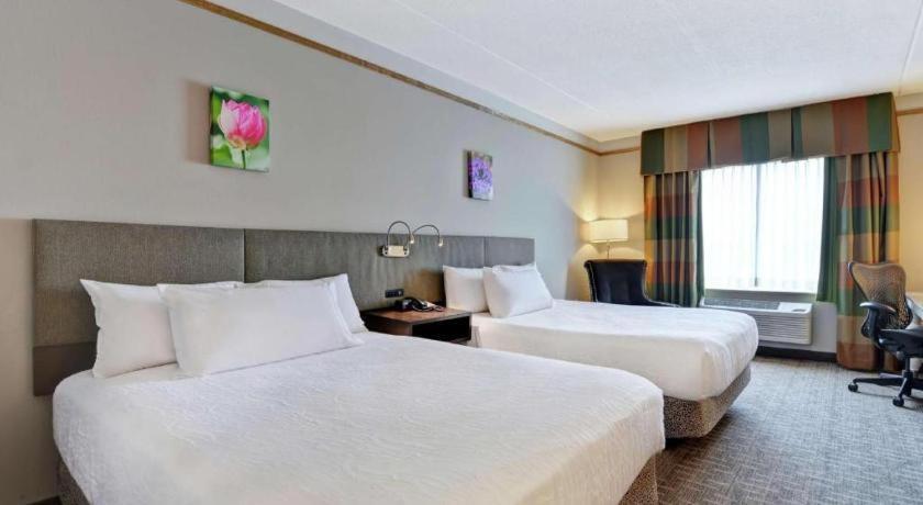 Hilton Garden Inn Appleton/Kimberly Экстерьер фото